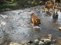 /album/fotogaleria/blanicka-w-voda-jpg/